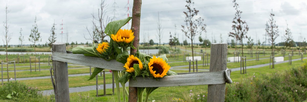 Monument MH17